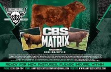 CBS Matrix
